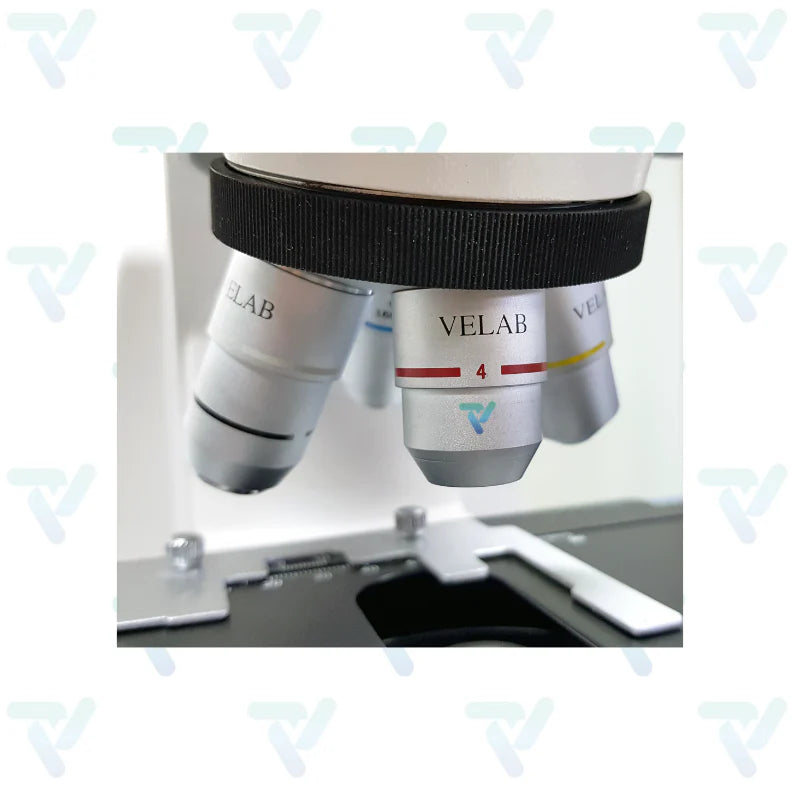 Microscopio binocular básico VE-B1 - Velab