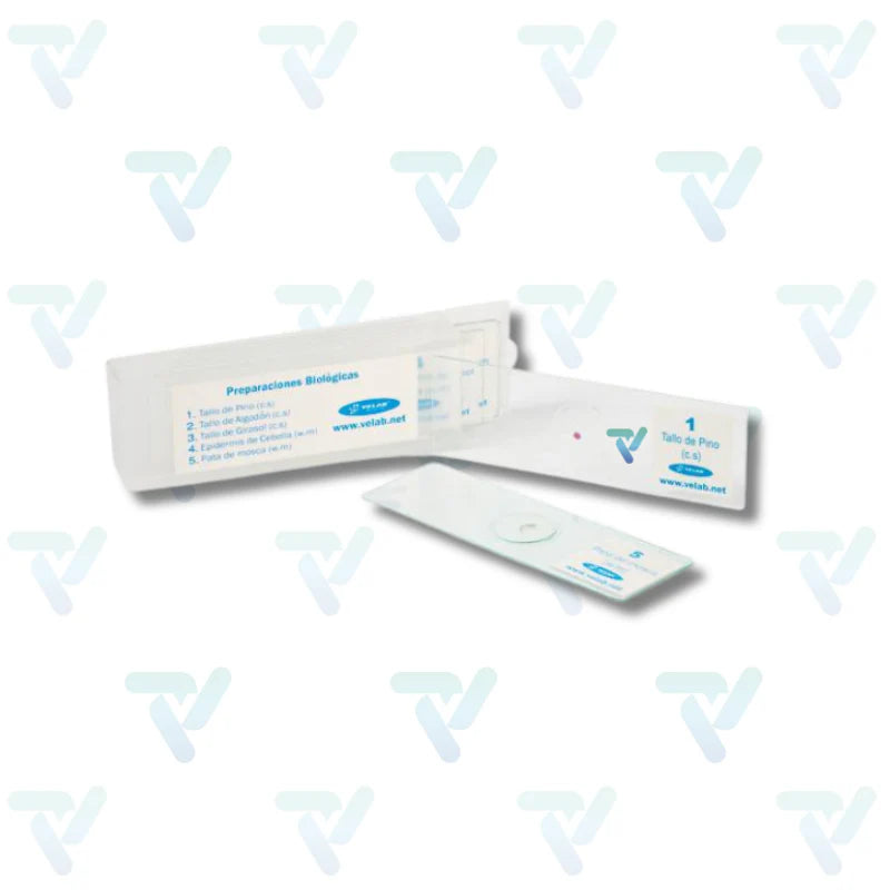 Microscopio biológico profesional VE-B4 - Velab