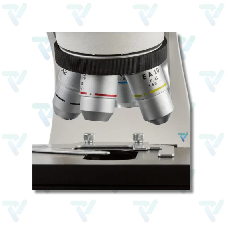 Microscopio biológico profesional VE-B4 - Velab
