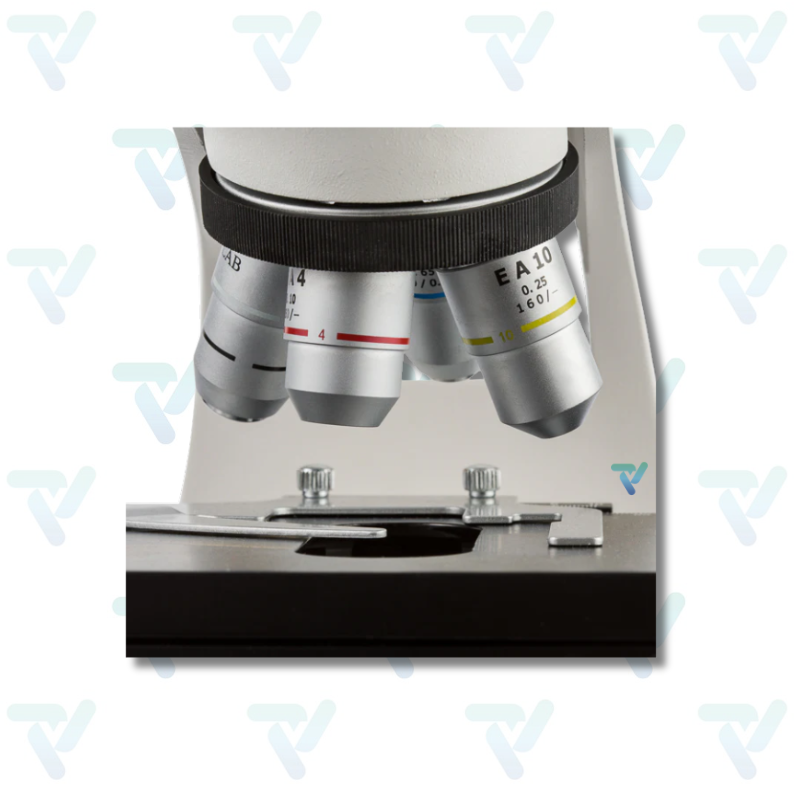 Microscopio Biológico Profesional Mod. VE-B6 - Velab