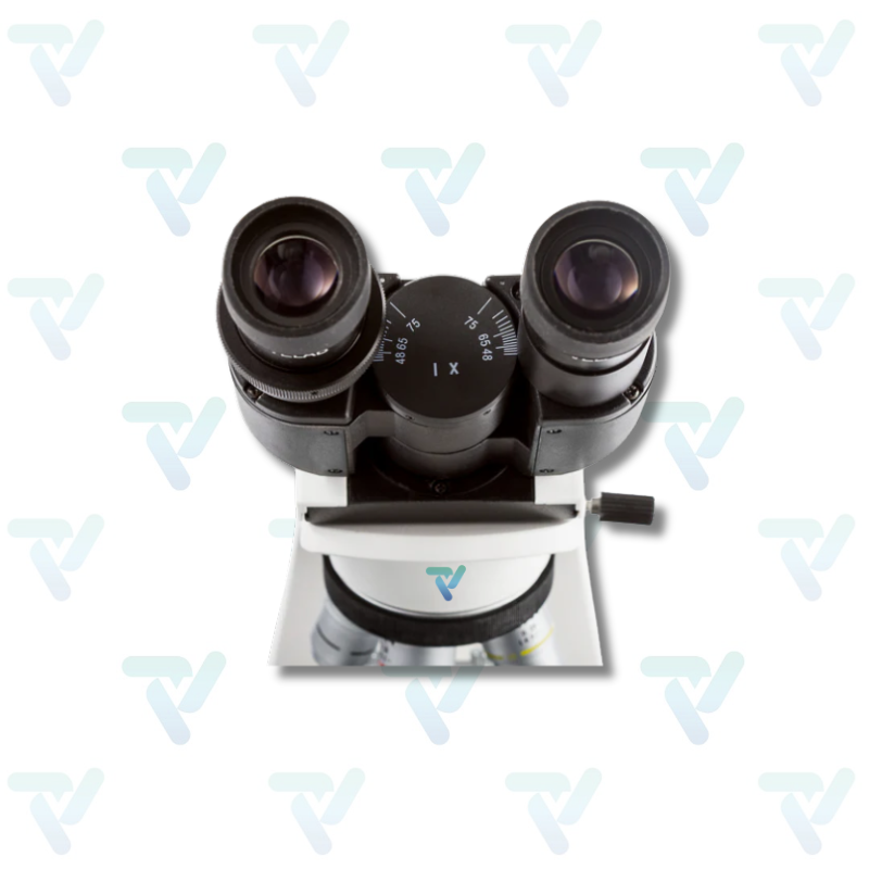 Microscopio Biológico Profesional Mod. VE-B6 - Velab