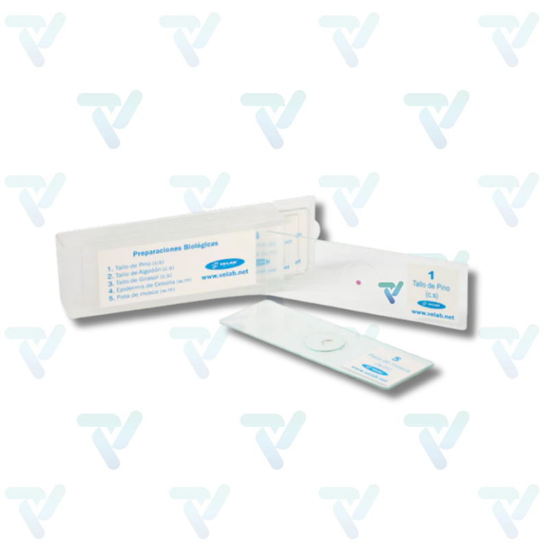 Microscopio Biológico Profesional Mod. VE-B6 - Velab