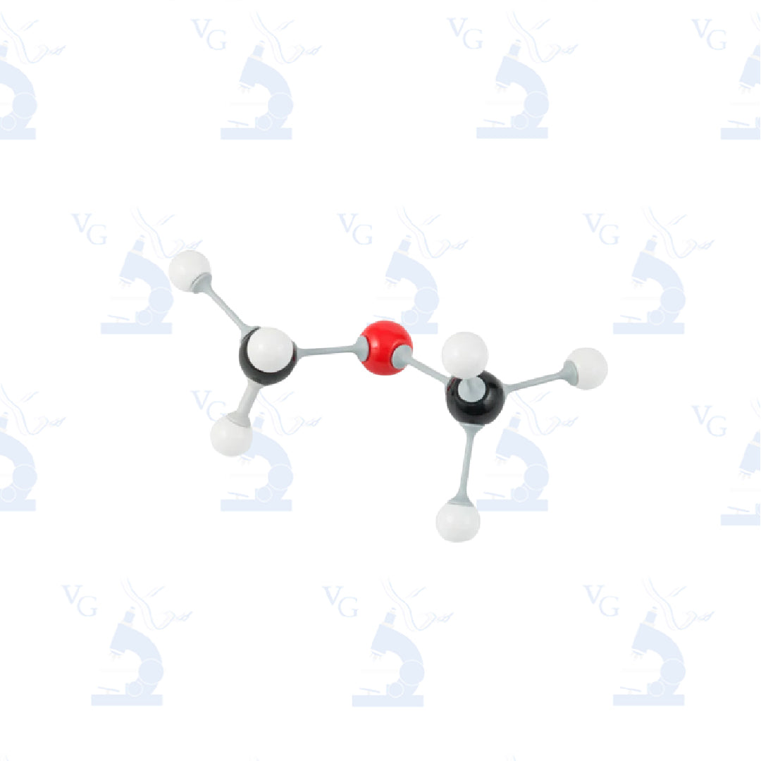 Modelo de Bioquímica para Estudiante. Modelo M-21 Civeq