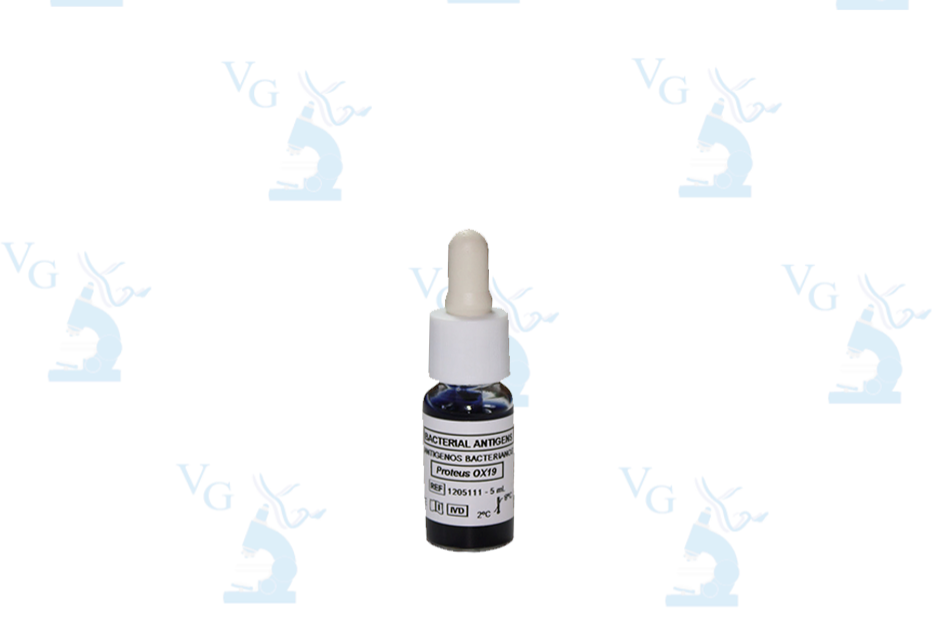 Proteus Ox-19 c/100 Spinreact