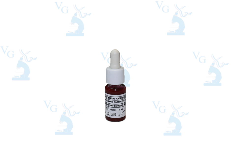 Salmonella Paratífico BH c/100 Spinreact